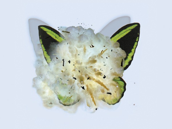 zerschmetter