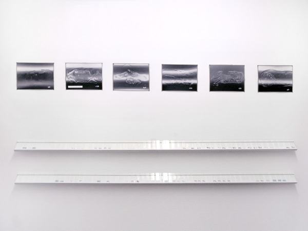 exposures_01.jpg