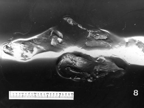 exposures_06.jpg