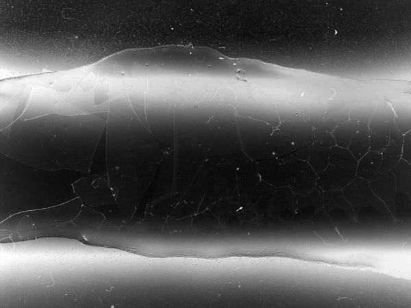 exposures_07.jpg